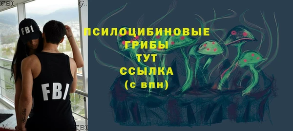 герыч Инсар