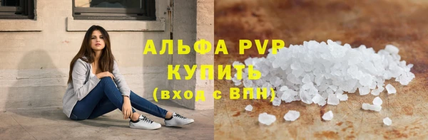 крисы Новозыбков