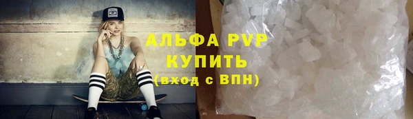 крисы Новозыбков
