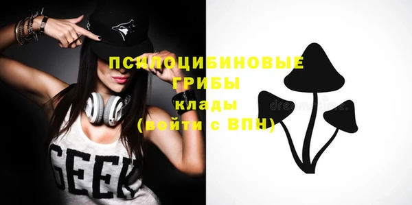 прущая мука Костерёво