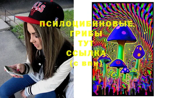 гидра Нефтегорск