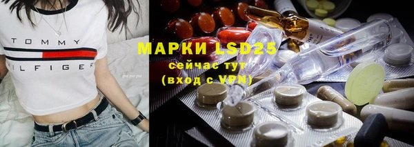 крисы Магас