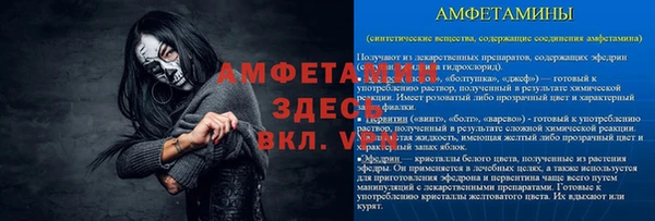крисы Новозыбков